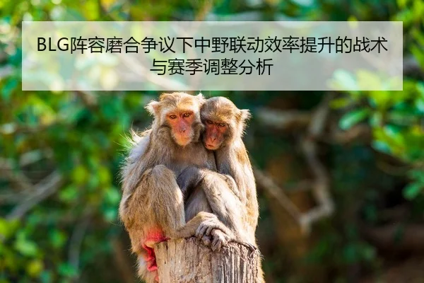 BLG阵容磨合争议下中野联动效率提升的战术与赛季调整分析